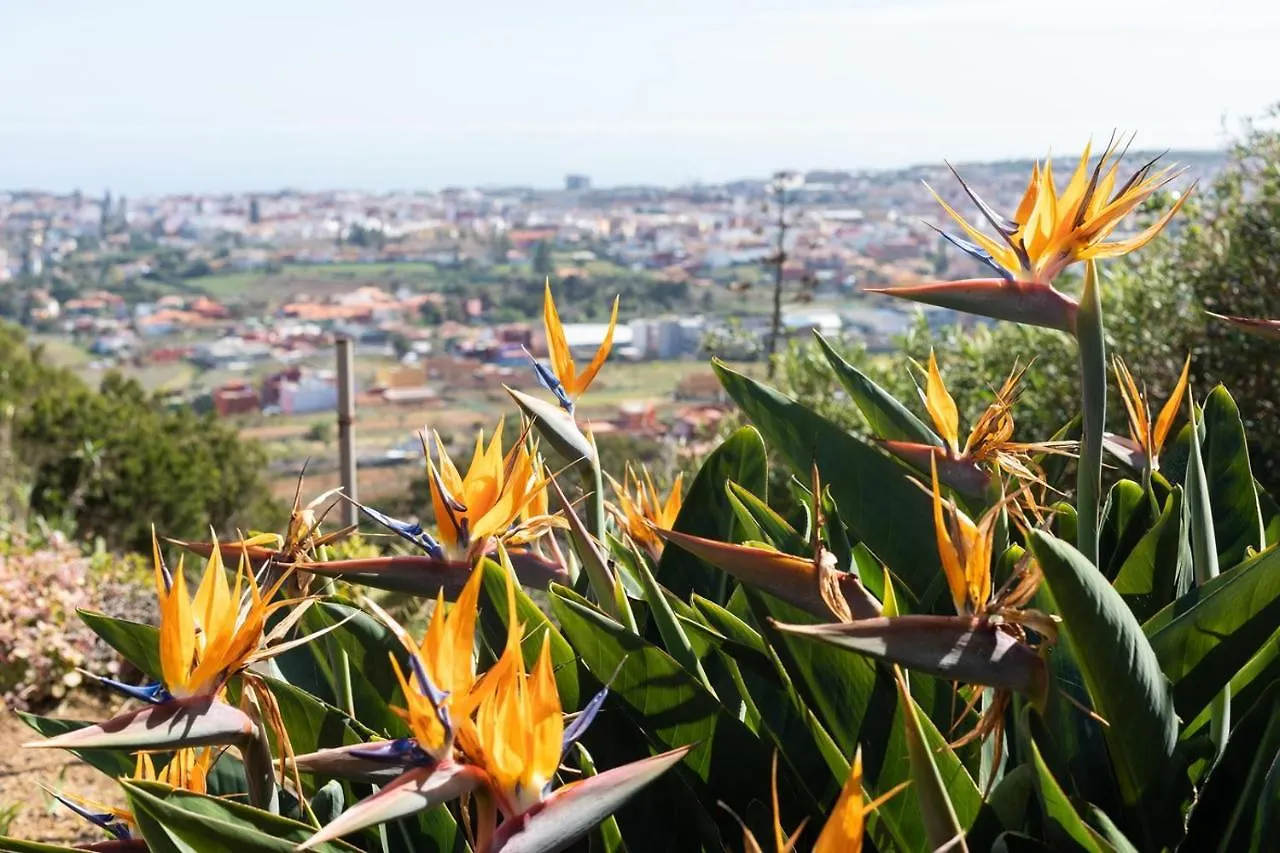 Live La Laguna Casita Vieja Spain